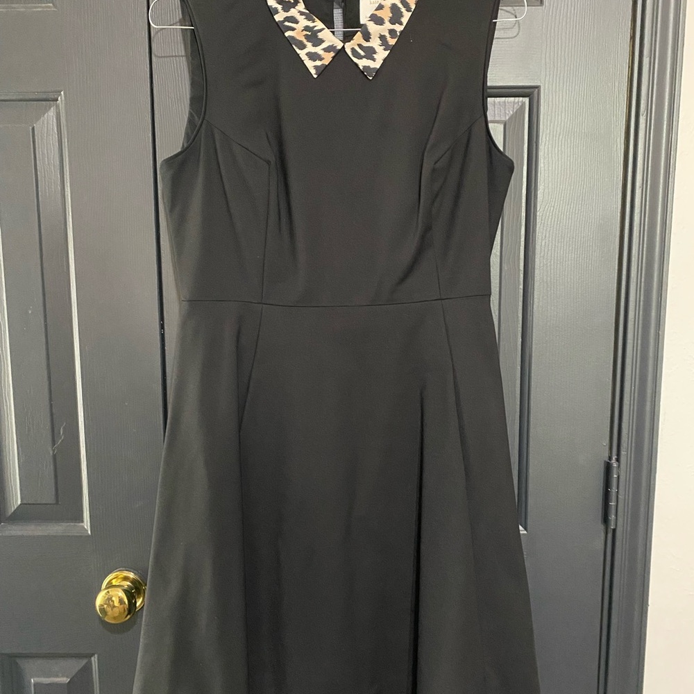 Kate Spade Black A-Line Mini Dress with Peter Pan Collar